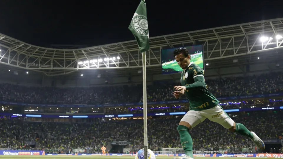 Torcedor diz que imitou galinha em gesto que custou R$ 300 mil ao Palmeiras